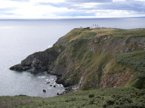 Howth - Cliff Walk 10