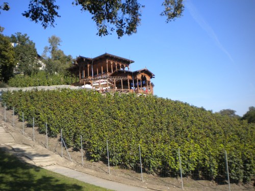 Prague Streets 7 - Vinyard in Park