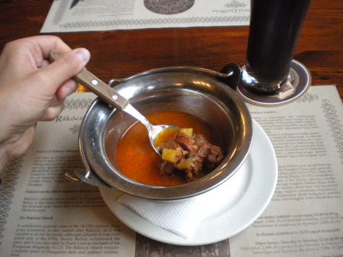 Food 1 - Goulash Soup