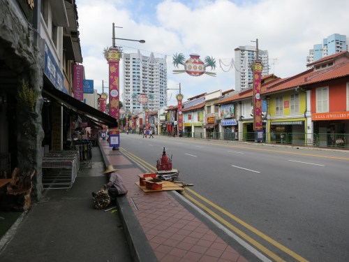 Little India 13 - Woman with sugarcane bundle