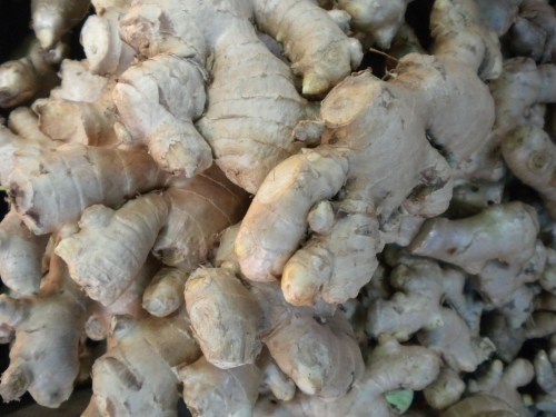 Piles of Ginger -- a commonly used rhizome, along with Galangal and Ginseng