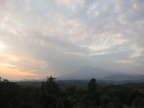 Dik Dik Viewing Tower 3 - Sunset