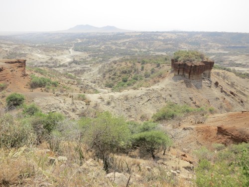 Olduvai Gorge 4 - View