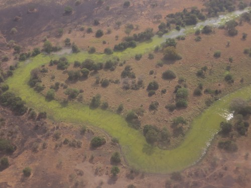 Serengeti Flight 27 - River