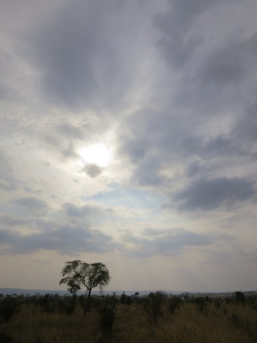 Tarangire National Park 133 - Landscape