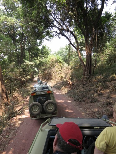 Lake Manyara 42 - Driving