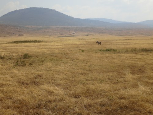 Ngorongoro Crater 99 - Landscape