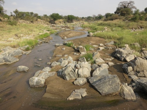 Tarangire National Park 4 - River