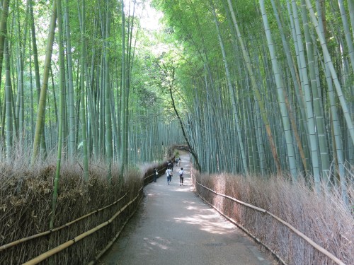 Arashiyama Bamboo Grove 5