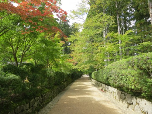 Danjo Garan 1 - Path leading to entrance