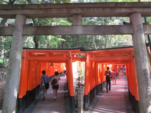 Fushimi-Inari Shrine 17 - Torri Gates