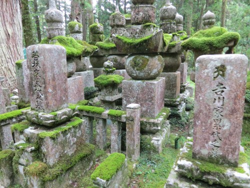 Okunoin 15 - Mossy Graves