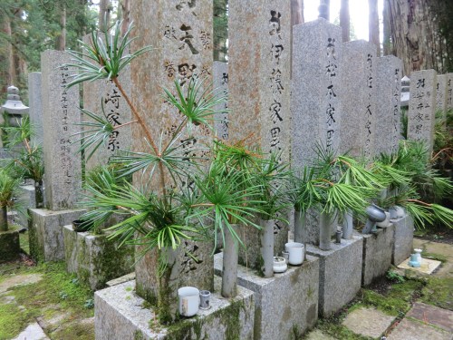 Okunoin 19 - Koyamaki (Pine Branches)
