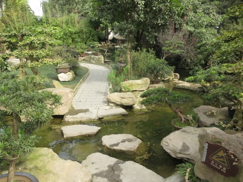 Wuhou Shrine 19 - Bonsai Garden