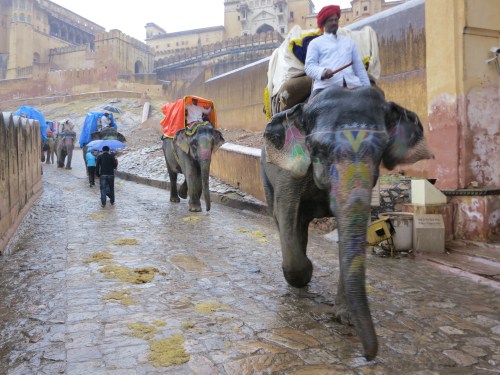 Elephants carrying tourists and travelers along the zig-zagging pathways up to the fort