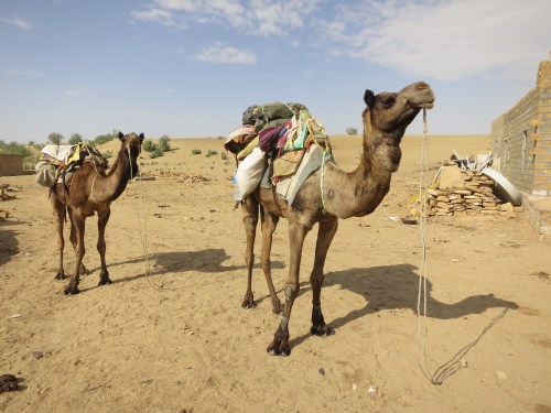 Getting geared up and ready to move out