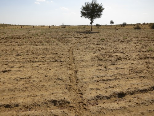 The path that lies ahead