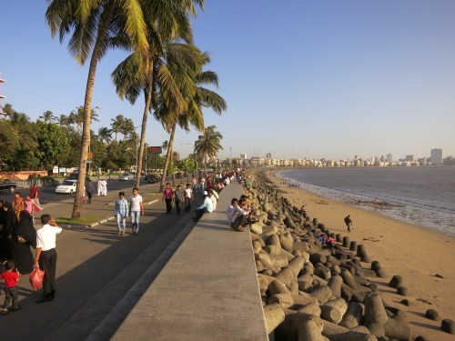 Marine Drive 8 - Palm Trees