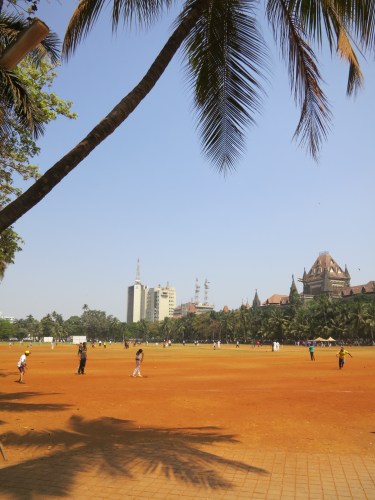 Oval Maiden 6 - Cricket Game