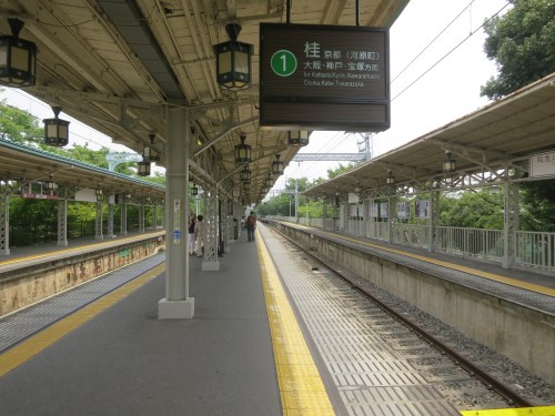 Waiting patiently for the train to arrive