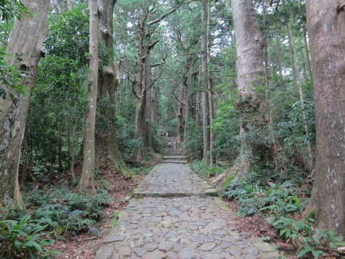 The final climb up to the town of Nachi-san includes an formidable trek up this giant staircase (known as Daimonzaka) amid some ominous-looking trees