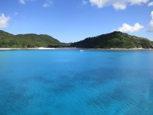 Ferry Ride 48 - Nicer Bay