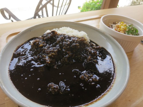 Black Sesame Curry and Rice, with a nice sweetness upfront followed by a spicy bite on the finish