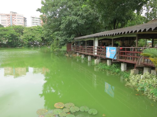 A series of lakeside restaurants that line the Eastern Coast of the lake