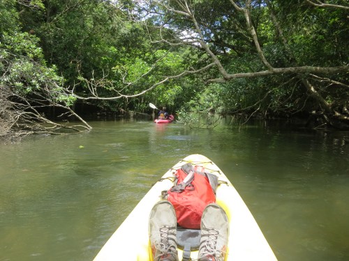 The kayaks allowed us to explore some of the smaller rivers and streams that the normal ferry boats can’t reach