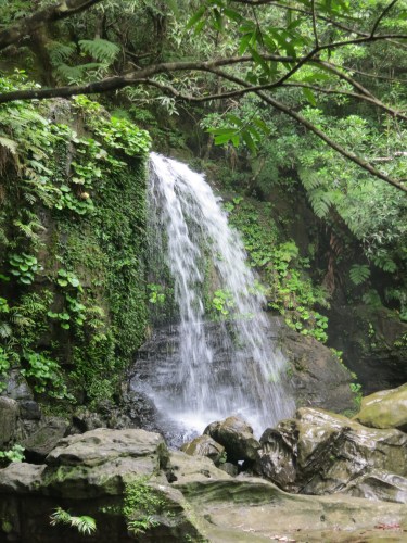One such side trip to us to a beautiful waterfall the was hidden away down a small tributary