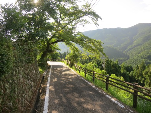 Although the majority of the trail passes over the mountains and through the woods, there is the occasion stretch along a nice bit of paved tarmac