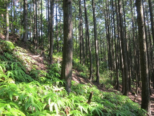 It’s a common view, but far from boring