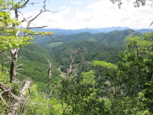 Kumano Kodo 37 - View