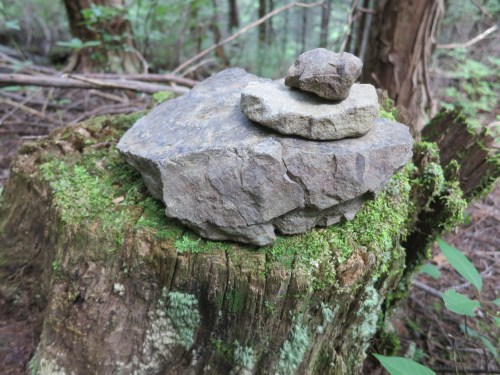 Do I still need to say it at this point?