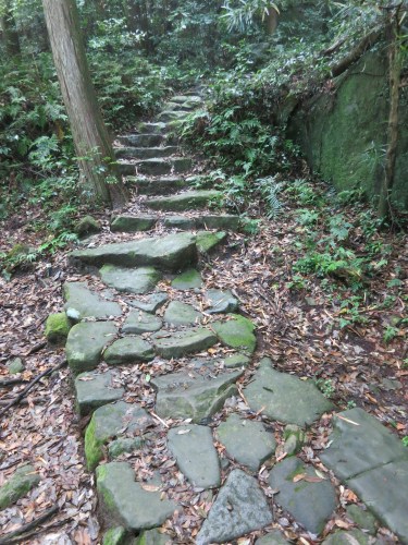 The trail leading onwards