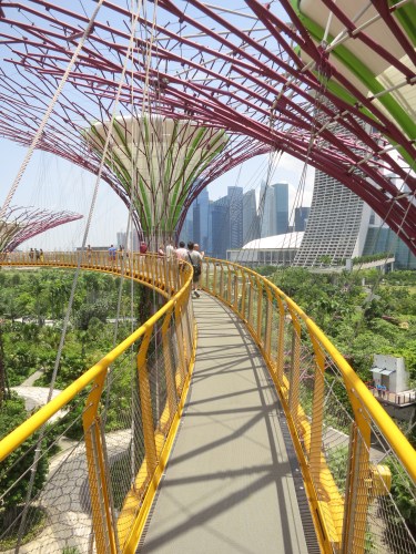 Gardens by the Bay 22 - Skyway